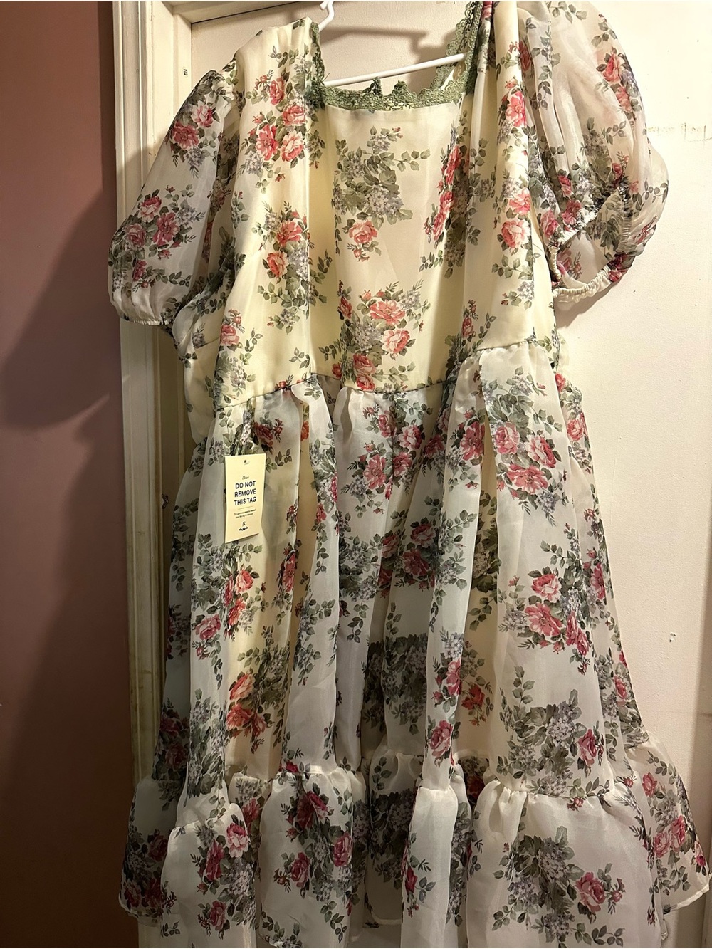 JessaKae Lydia Floral Puff-Sleeve Chiffon Dress - Cream with Pink Roses NWT